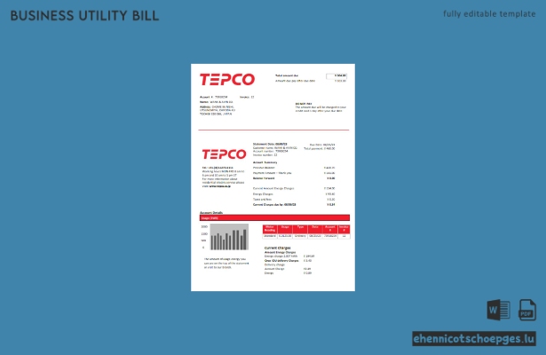Beispielrechnung des Stromversorgungsunternehmens Tokyo Electric Power Company (TEPCO)